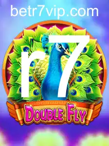 Explorando o Mundo de DoubleFly: Regras e Experiência de Jogo